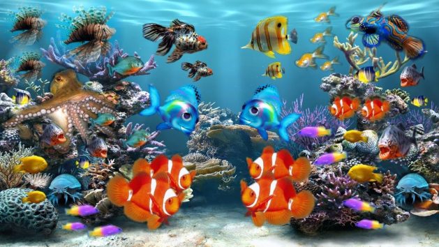 Fische-Aquarium-1-bunt_SNIP-284551_AzDude