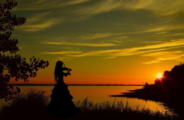 Dank an pixabay: mohamed_hassan